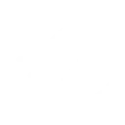 quick time install setup icon